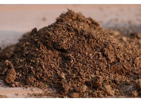 TORBA BIONDA DI SFAGNO FONDO PER TERRARI (1 confezione da 2 kg)