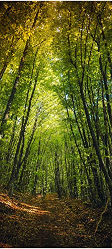 wandmotiv24 Türtapete Dunkler Weg im Wald 90 x 200cm (B x H) - Dekorfolie selbstklebend Sticker für Türen, Türfolie, Aufkleber, M0923