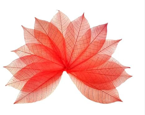 HukDok Skelett Blätter Naturkautschuk Baum für DIY Handwerk Karte Scrapbook Hochzeit Fotoalben Saisonale Geschenke Kleine Blätter Dekorativ (Rot)