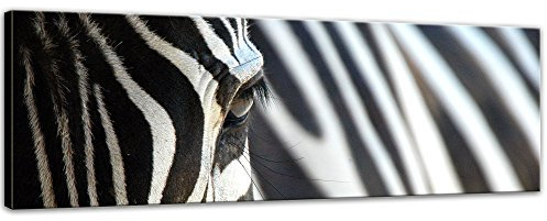 Bilderdepot24 Keilrahmenbild - Zebra - Bild auf Leinwand 160 x 50 cm - Leinwandbilder Bilder als Leinwanddruck Tierbild Natur Afrika - gestreiftes Tier