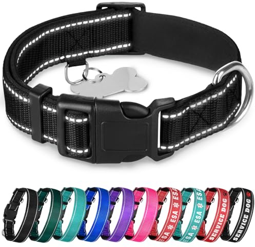 TECEUM Reflective Dog Collar Black M – Soft Padding – Nylon, Quick Release