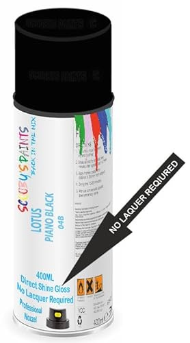 SCOOBYS PAINTS BACK IN THE MIX Direct Gloss Aerosol Spray Paint For Lotus Piano Black Code: 04B No Lacquer Required