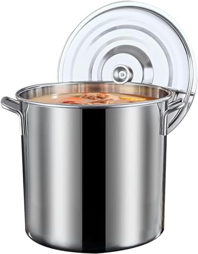 CAFIEDR Olla Grande con Tapa de Acero Inoxidable, Compatible con cocinas de inducción, vitrocerámica y halógenas, 20 l.(20L)