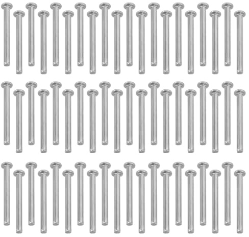 GALPADA Rivets à Tête Bombée en Acier Inoxydable 2X20 MM Kit de 200 Pièces Rivets Métalliques Robustes pour Maroquinerie Travaux Manuels et Bricolage Fixation Solide pour Cuir et Bois