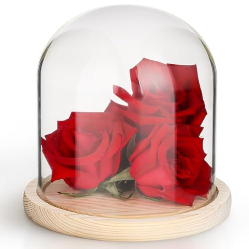 Campana in vetro trasparente con base in legno, per piante artificiali, statuette e candele