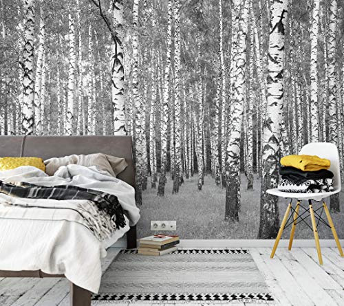 awallo Fototapete «Birkenwald» in Grau, Schwarz, Weiß | Vliestapete 336x260cm | XXL Bild-Tapete Wand-Bild Digitaldruck