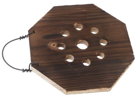 BESTonZON Mur Végétal Vertical avec Kit De pour Support pour Orchidées Et Jardinière Intérieur pour Jardin Vertical Décoratif