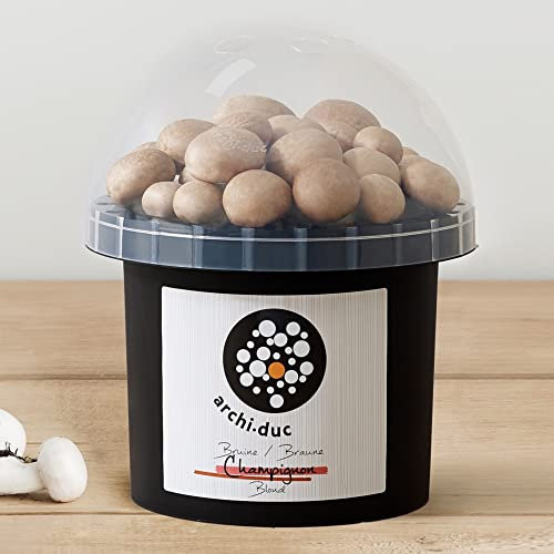 Cremini Mushroom Growing Kit | Grow Your Own Brown Mushrooms | Easy to Use | Kitchen Garden