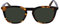 Calvin Klein Unisex Adult Sunglasses CK23501S - Vintage Havana with Solid Green Lens