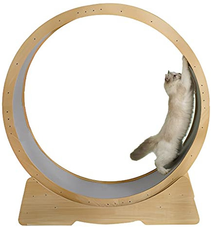Katzenlaufrad for Hauskatzen, Kitty Cats Sportspielzeug – geräuschlose Rollen, 37,4/45,7 Zoll großes Katzenlaufrad, mit austauschbaren Greifpolstern (Size : L)