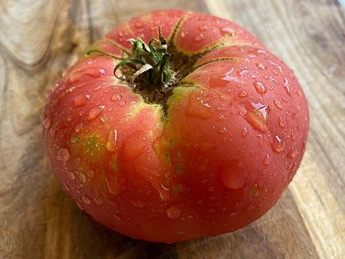 Semi di Pomodoro Brandywine Rosa, Varietà Heirloom 100+ Semi, Frutti 450-900g