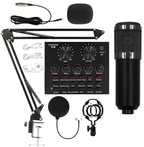 Attrezzatura Da Studio Di Registrazione Kit Streaming Facile Da Usare, | Plug And Play Per Registrazione In Studio, Video Live, Podcast, Cantanti, Doppiatori