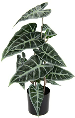 Künstliche Calatheapflanze Kunst-Pflanze Seidenblumen Kunstpflanzen Kunstblume Pflanze Dekopflanze Zimmerpflanze Grünpflanze Zebrina Alocasia Sanderiana Pfeilblätter Elefantenohr Sanderiana Fiorella