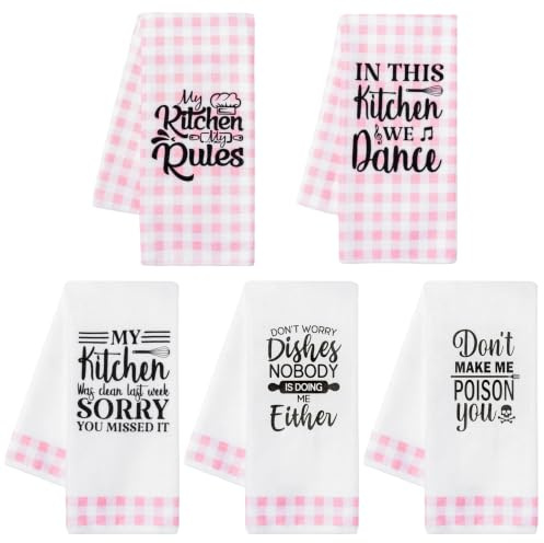 R HORSE küchentücher küche für die Küche - 5 Stück Pinke Geschenke für Frauen Männer Handtücher für Küchenzubehör Weihnachten Housewarming Geschenk Weiche Handtücher, 40×60cm