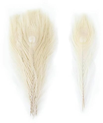 Plumes de paon colorées, 25-30 cm, plumes naturelles à grands yeux, 25-30 cm, accessoires de décoration pour mariage, maison, vêtements, fête, DIY, blanc, 10 pièces