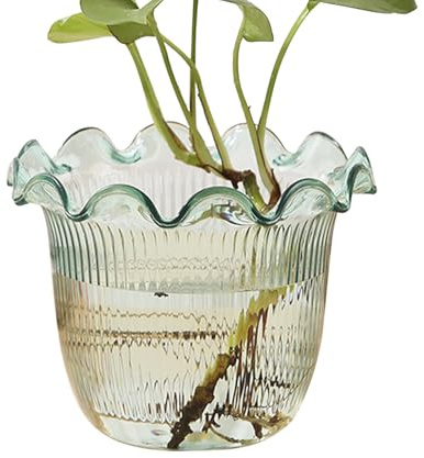 Patifirst Vaso Trasparente - Vaso Idroponico Per Piante In Acqua, Idroponico Per Centrotavola Matrimonio Sposa Tavolo Cena Hotel Lobby Fiori Secchi