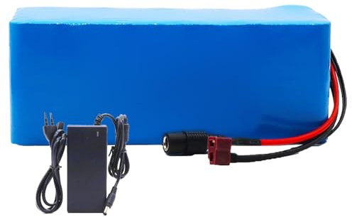 Batteria Per Scooter Elettrico Da 48 V 20 Ah, Batteria Al Litio Per Bicicletta Elettrica, Batteria Agli Ioni Di Litio 13S3P Per Bici Elettrica Per Motori Da 200 W A 1000 W XT60