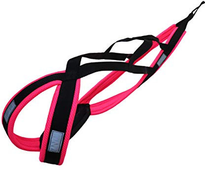 LASALINE Hunde Zuggeschirr X Back für Canicross Hundesport Dogscooter Bikejöring Schlitten in Schwarz Neonpink