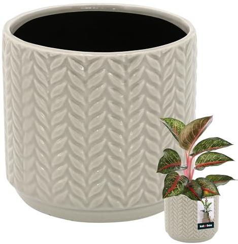 KOTARBAU® Blumentopf Weiß in Keramik - Rund ⌀ 12 cm Höhe 12,5 cm Glasiert - Großer Blumenübertopf Pflanzkübel Pflanztopf