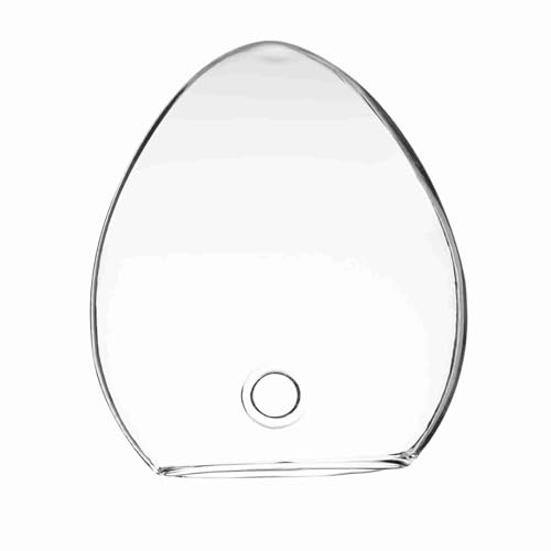 Hyuduo Wall Hanging Glass Vase, Premium Borosilicate Mouse Shaped Hydroponic Planter for Indoor Plants Modern Home Office Decor Transparent 12cm