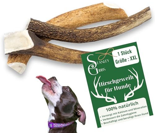 Hirschgeweih-Kauknochen für Hunde (Größe, XXL)