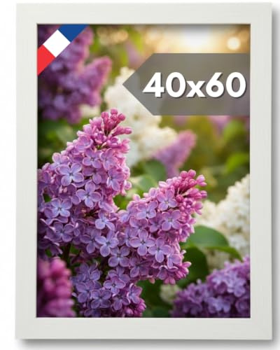 NOOGUI Bilderrahmen 40×60 cm, Weißes Holz, Mit entspiegeltem Plexiglas | Für Fotos, Poster oder Puzzles, Vertikale und horizontale Positionierung, Stärke 2 cm