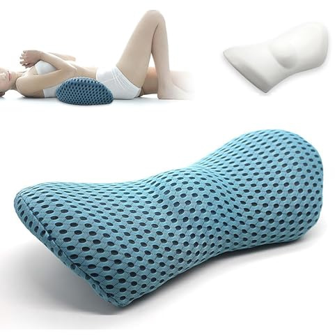Lumbar Support Pillow Ergonomic: Back Cushion Streamline Memory Foam for Lower Pain Relief Office Chair Car Seat Gaming Recliner and Sleeping Travel (Sky blue)