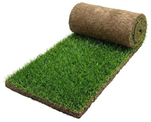 Ricarica Zolla 60x 40 in Vera Erba– Compatibile con Qualsiasi Vassoio 60x40, Lettiera Naturale per Training Cucciolo, Cani e Gatti in Appartamento
