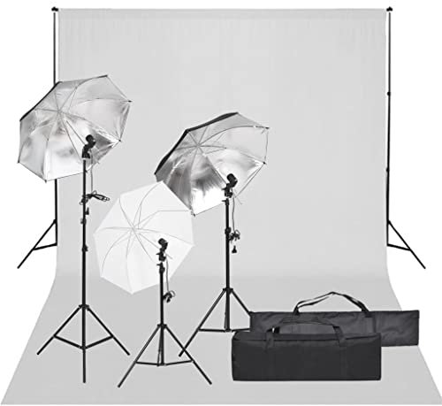 vidaXL Fotostudio-Set mit Beleuchtung und Hintergrund, Studio-Kit, Tageslicht-Lampe, Studio-Beleuchtung-Set, Studio-Licht, Fotografie-Licht