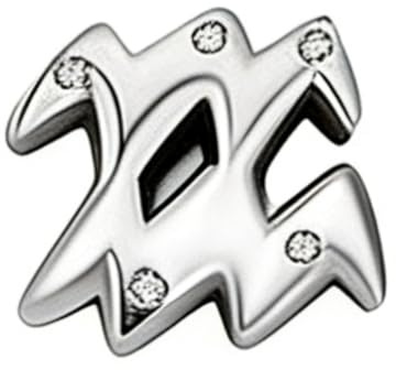 WEIMU Charms Sternzeichen für Armband 925 Sterling Silber 12 Sternbilder Charms Beads ，Armband Halskette Valentinstag Muttertag, für Europäische Armbänder Halskette
