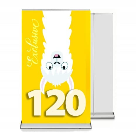 Rollup Exclusive 120x200 cm | Roll-up Display | mit Transporttasche | einseitiger Roll-up-Bannerständer