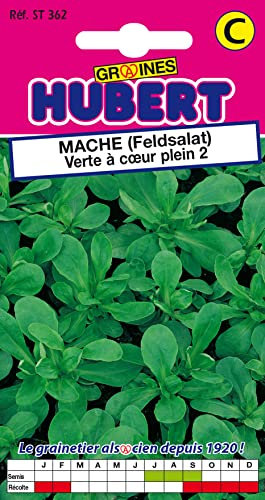 Graines de Mâche Verte à Coeur Plein 2-4 grammes