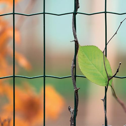 WERKA PRO Grillage soudé Vert en Rouleau de 25m 1 x 25m