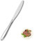 Pleafind - Dinner Knife Set - 24 Pieces Table Knives, 8.66 inch(22cm) Stainless Steel Cutlery knife, Butter Knife for Home & Kitchen. Mirror Polished and Dishwasher Safe