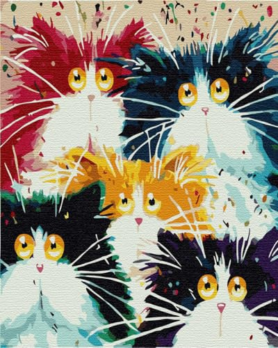 Artnapi Malen nach Zahlen Erwachsene mit Rahmen | DIY Handgemalt | Fünf farbige Katzen | Kit für Anfänger und Erwachsene | Set inklusive Acrylfarben & Pinsel | 40x50cm Leinwand | Ideal als Geschenk