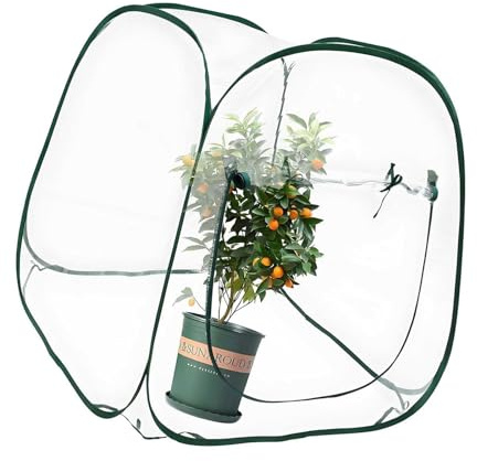 Rdxanc Copertura per serra invernale per piante, design isolato, per giardino, materiali in PVC trasparente, struttura in acciaio, copertura isolante per serra