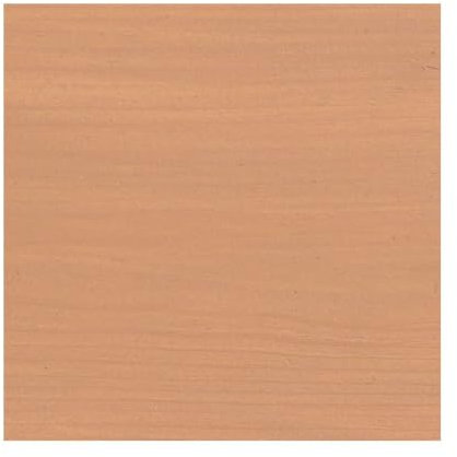 Protek Wood Stain & Protector Biscuit 125ml (Sample Pot)