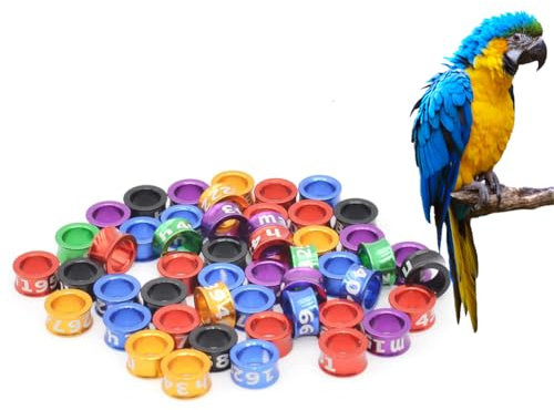 CARYZ Taubenring, Vogelbeingürtel, Fußring, Beinring, Mehrfarbig, gemischte Anzahl, zufällige Papageienküken-Clip-Ringgürtel 200 Stück Mixed colors5.0mm