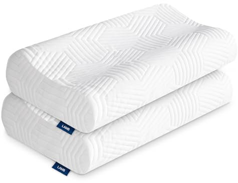 LAMB Höheneinstellbares Memory Foam Kissen Kopfkissen,Nackenkissen Nackenstützkissen Ergonomisches Kopfkissen Antischnarchkissen mit abnehmbarem Bezug, 2 Stück