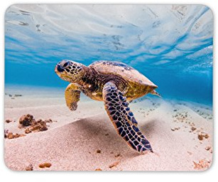 Schwimmen-Schildkröte Mauspad Pad - Schildkröte Tauchen Scuba Meer Geschenk PC Computer # 8503