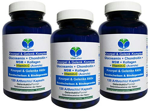Knorpel & Gelenke Komplex + Vitamin-C 360 (3x120) ArthroWell Gelenk-Kapseln – Natürliche Gelenkbausteine Glucosamin + Chondroitin + MSM + Kollagen. 26442-3