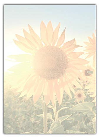 Motivpapier Briefpapier Sonnenblumen im Sonnenlicht (MPA-5199, DIN A4, 100 Blatt)