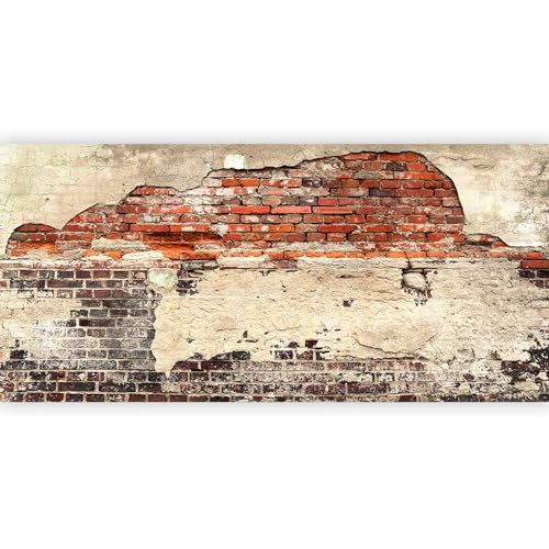 murando - Papier peint panoramique artistique 600x280 cm - Revêtement mural décoration pour chambre salon - Design moderne - Marron beige - Modèle de brique fond de texture urbaine f-A-0503-x-f
