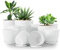 Utopia Home Paquete de 10 macetas 18/17/15/13/12 cm Maceta con platillo para la Cocina, balcón, Plantas de jardín, macetas de vivero de Interior Gris Moteado.