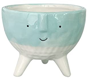 Cute Vase Succulent Flower Pot Hand Drawn Cartoon Small Flower Vases Decorative Crafts Flower Arrangement (Color : B, Size : One Size) (C One Size)