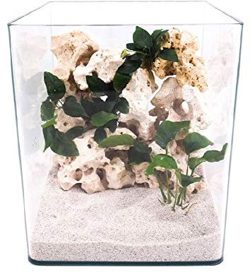 Amtra Technik Nanotank 20 Aquarium Abdeckung Unterlage Cube Becken Glasbecken Glasaquarium Panoramaglas Glas Süßwasser Würfel Cube