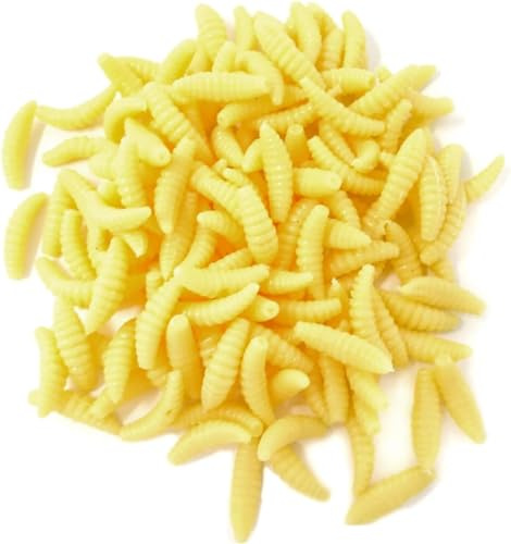 50 Pcs Lifelike Scented Soft Maggots Fishing Lures – 1 Inch Realistic Plastic Wax Worms Baits for Carp, Trout, Barbel & Bass – Ideal Carp & Trout Rig Supplies