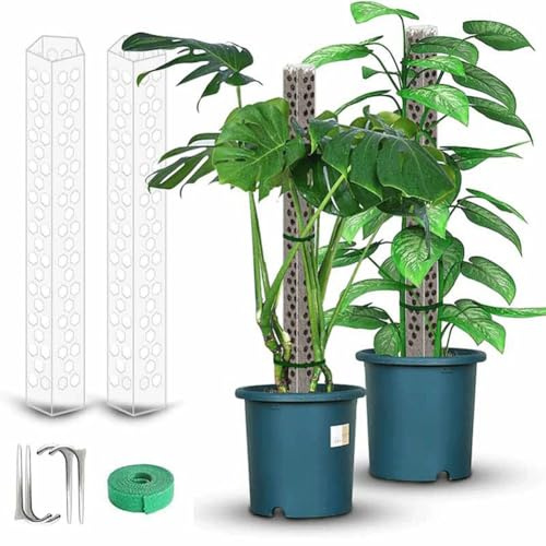 Lawnoval Pothos et Monstera Lot de 2 poteaux en mousse transparente pour plantes grimpantes 398,8 cm