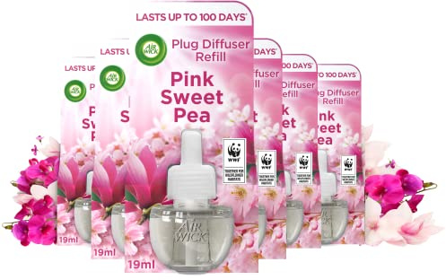 Air Wick Plug in Diffuser Refill, Pink Sweet Pea, Pack 6 x 19ml, Long Lasting Fragrance, Lasts up to 600 days, Plug in Air freshener