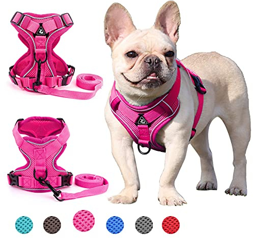 Zunea No Pull Dog Harnesses for Small Dogs Adjustable Puppy Vest, Pink, M | Nylon Fabric, Reflective, Breathable Mesh, Escape Proof, for Walking Training, Pet Chihuahua Yorkie Cats